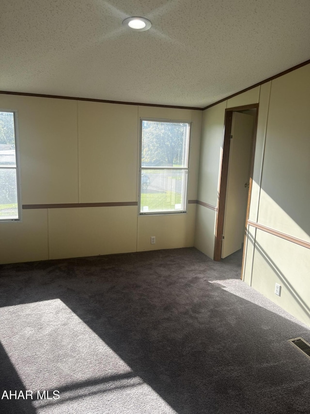 carpeted spare room featuring plenty of natural light and a textured ceiling