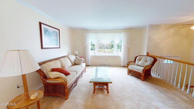 3339 Sylvan Heights Dr, Hollidaysburg, PA 16648 - carpeted living room featuring crown molding and a ceiling fan
