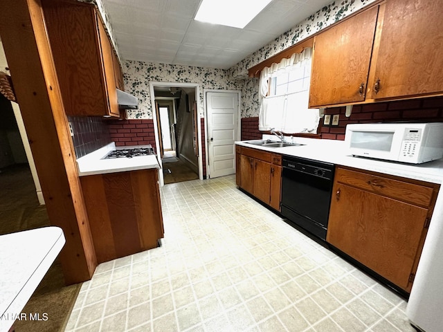 kitchen featuring sink, white appliances, and ventilation hood