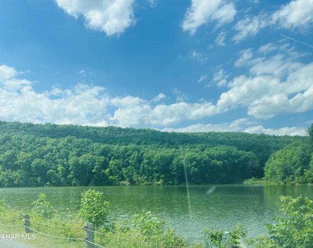 17046 Shaw Ln, James Creek, PA 16657 - photo 19