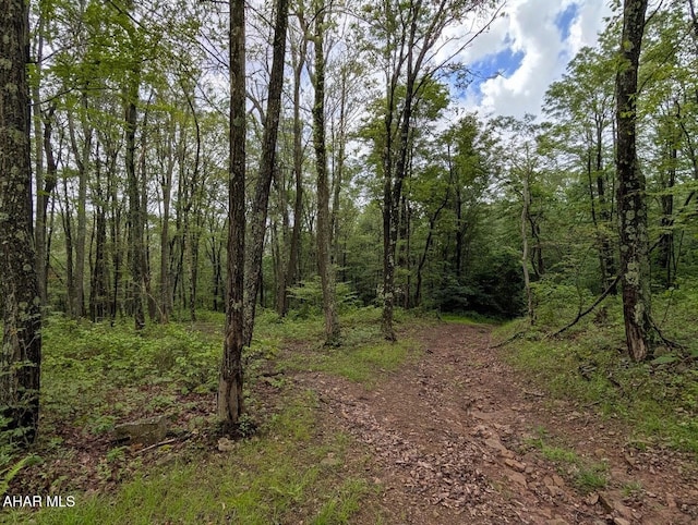 263 Helixville Rd, Schellsburg, PA 15559 - view of wooded area