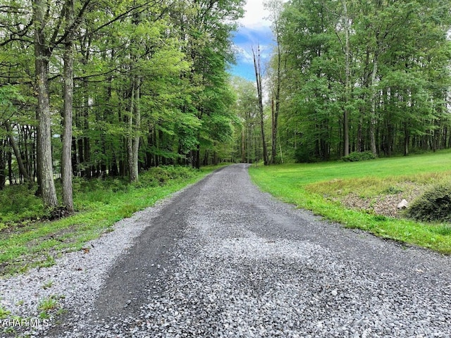 263 Helixville Rd, Schellsburg, PA 15559 - view of road featuring a forest view