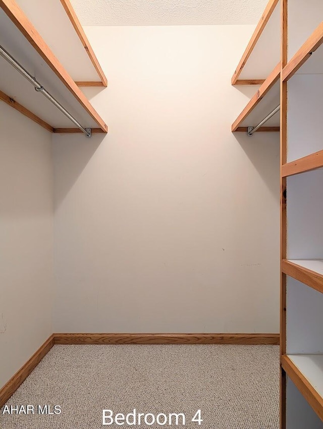 263 Helixville Rd, Schellsburg, PA 15559 - spacious closet featuring carpet flooring