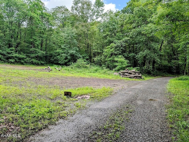 263 Helixville Rd, Schellsburg, PA 15559 - view of street with a wooded view
