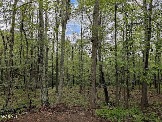 263 Helixville Rd, Schellsburg, PA 15559 - view of wooded area