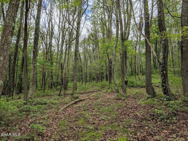 263 Helixville Rd, Schellsburg, PA 15559 - view of woods