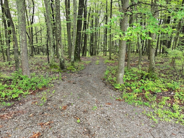 263 Helixville Rd, Schellsburg, PA 15559 - view of street featuring a forest view