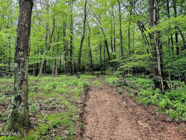 263 Helixville Rd, Schellsburg, PA 15559 - view of tree filled area