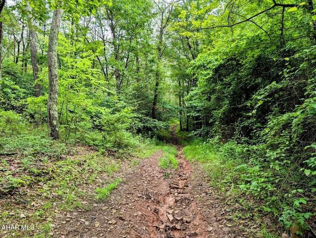 263 Helixville Rd, Schellsburg, PA 15559 - view of wooded area