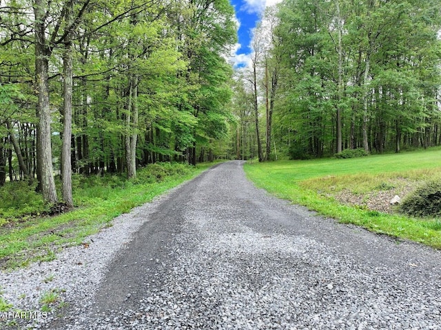 263 Helixville Rd, Schellsburg, PA 15559 - view of street with a wooded view