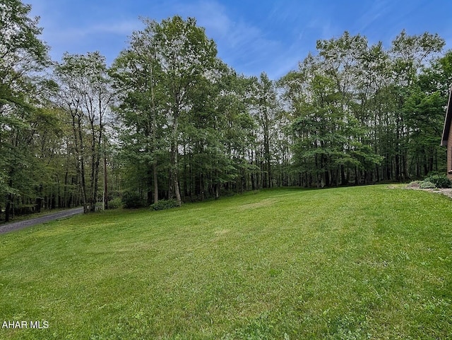 263 Helixville Rd, Schellsburg, PA 15559 - view of grassy yard