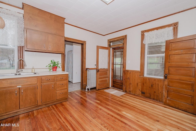 kitchen with light wood finished floors, light countertops, a sink, crown molding, and a wainscoted wall