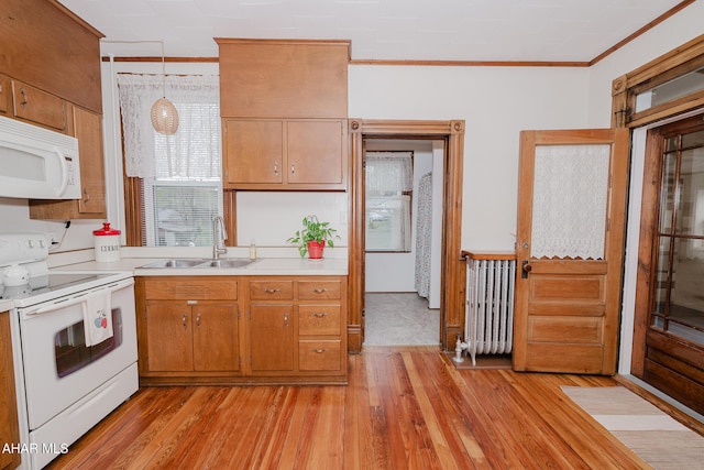 kitchen featuring white appliances, a sink, ornamental molding, light countertops, and light wood-style flooring