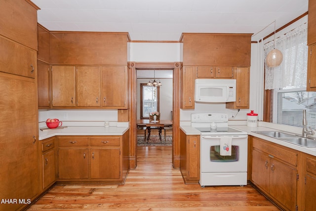 kitchen with white appliances, a sink, light wood finished floors, light countertops, and brown cabinetry
