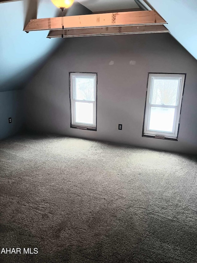 additional living space featuring lofted ceiling and carpet