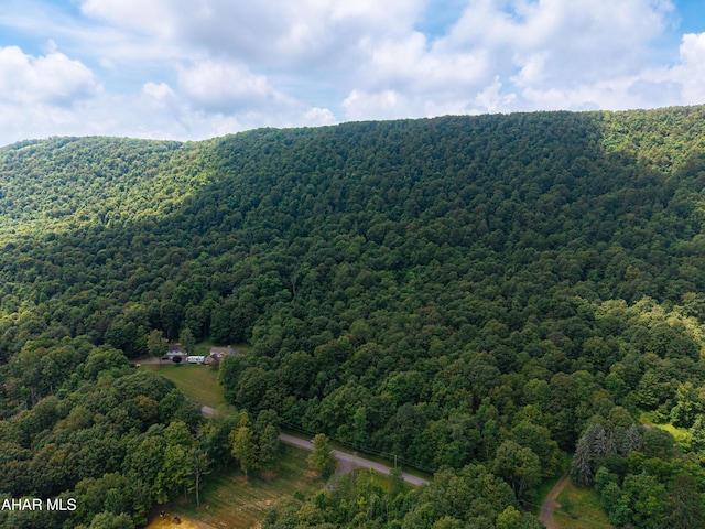 OFF Mountain View Dr, Schellsburg, PA 15559 - photo 4