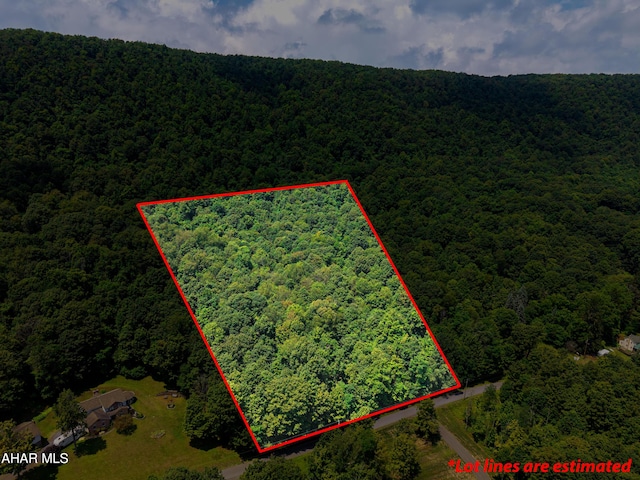 OFF Mountain View Dr, Schellsburg, PA 15559 - photo 1