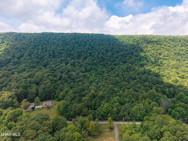 OFF Mountain View Dr, Schellsburg, PA 15559 - photo 3