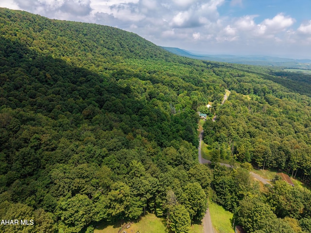 OFF Mountain View Dr, Schellsburg, PA 15559 - photo 10