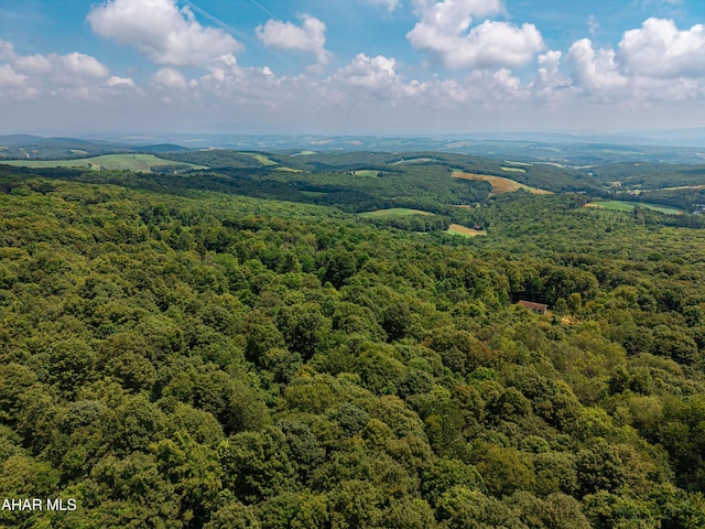 OFF Mountain View Dr, Schellsburg, PA 15559 - photo 8