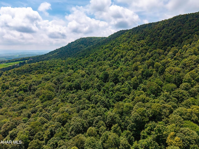 OFF Mountain View Dr, Schellsburg, PA 15559 - photo 6