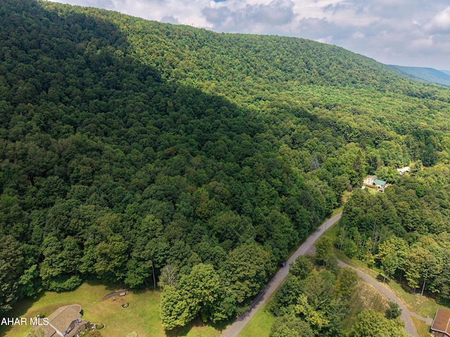 OFF Mountain View Dr, Schellsburg, PA 15559 - photo 11