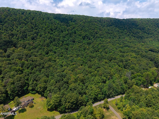 OFF Mountain View Dr, Schellsburg, PA 15559 - photo 2
