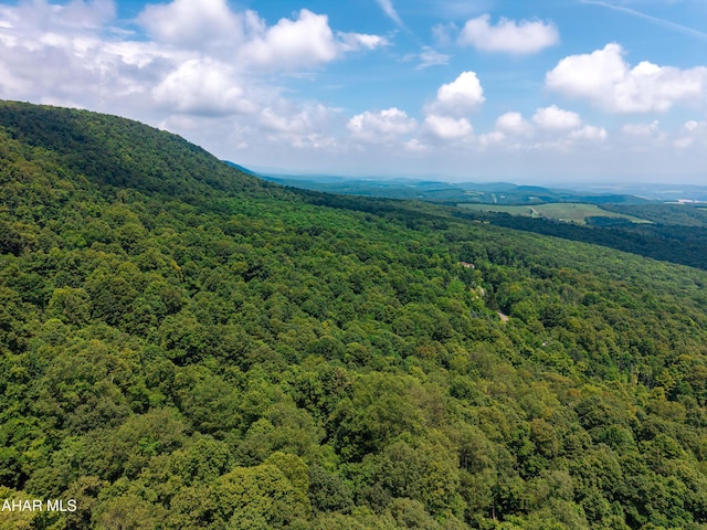OFF Mountain View Dr, Schellsburg, PA 15559 - photo 5