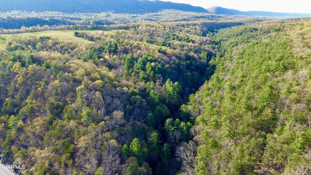 drone / aerial view featuring a mountain view