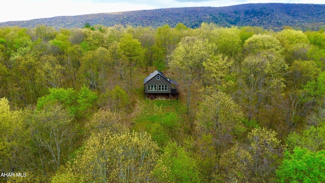 birds eye view of property with a mountain view