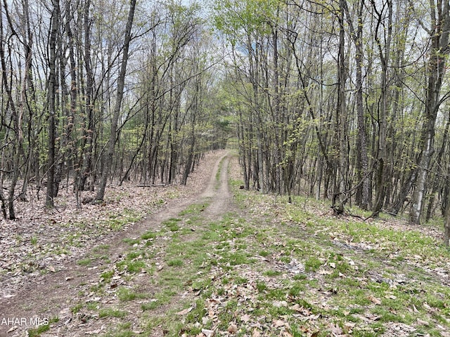 view of local wilderness