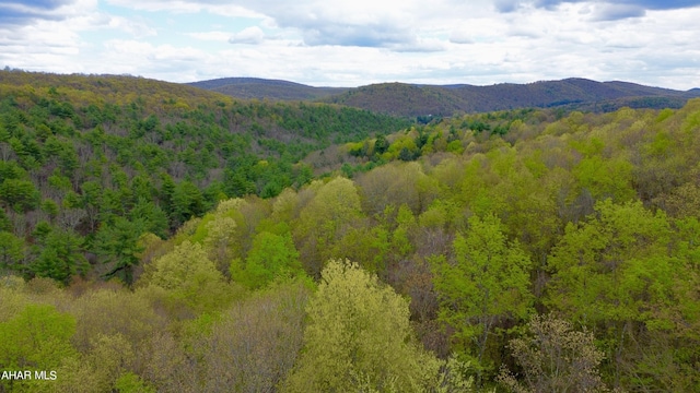 view of mountain feature