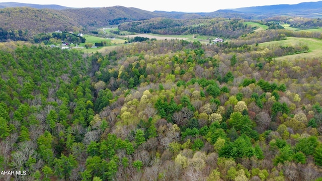 aerial view with a mountain view