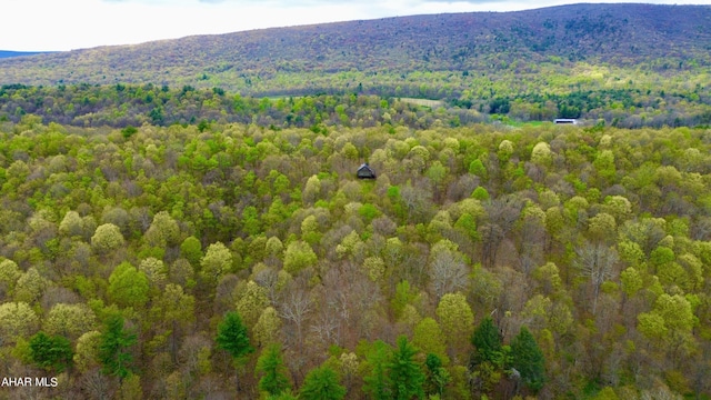 bird's eye view featuring a mountain view