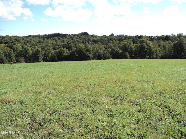 1803 Munster Rd, Portage, PA 15946