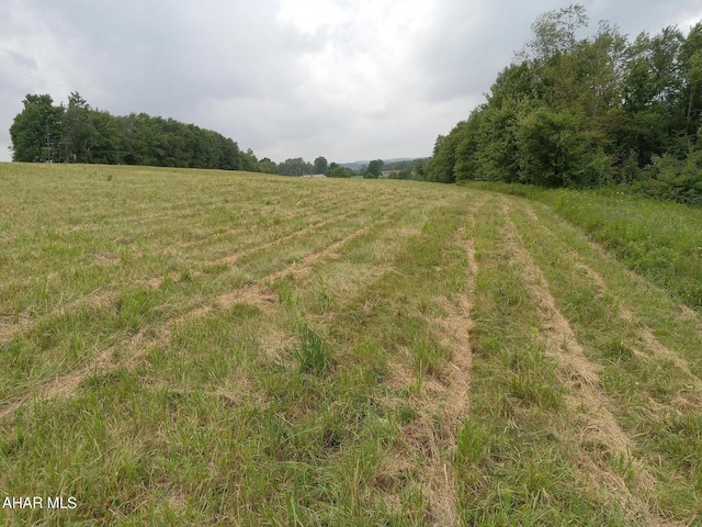 1803 Munster Rd, Portage, PA 15946