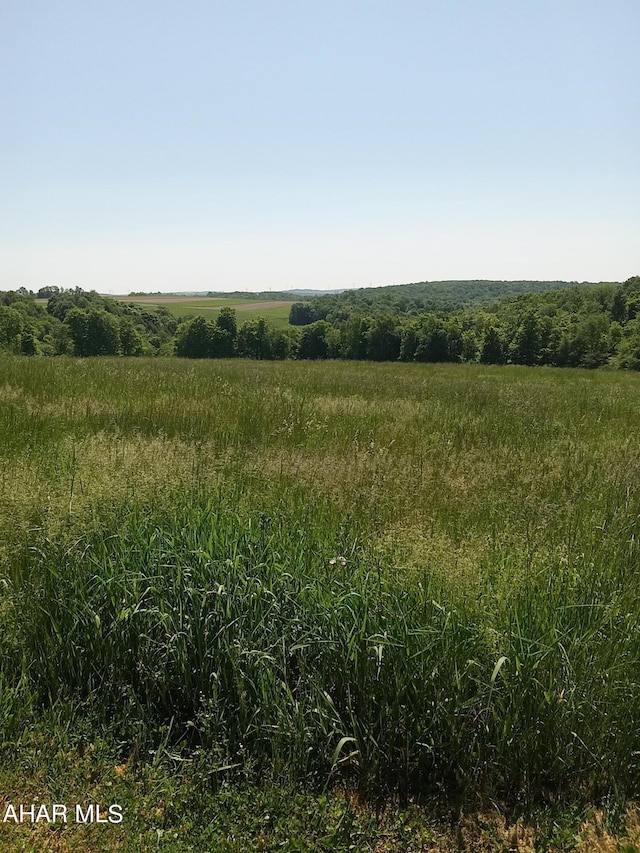 1803 Munster Rd, Portage, PA 15946