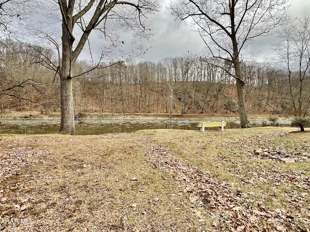 view of yard with a water view