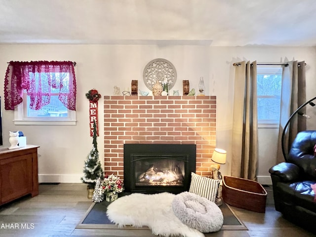 living room featuring a fireplace and light wood-type flooring