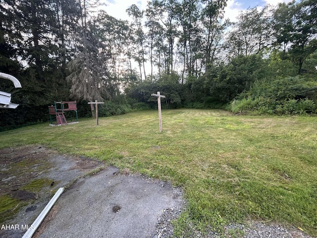325 Mcfarland Rd, Tyrone, PA 16686 - view of green lawn featuring a playground