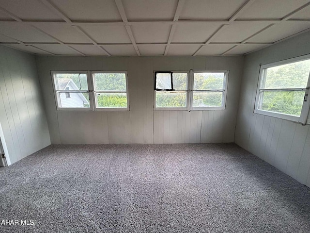 325 Mcfarland Rd, Tyrone, PA 16686 - carpeted empty room featuring wooden walls
