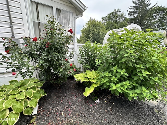 705 Clark St, Hollidaysburg, PA 16648 - view of yard