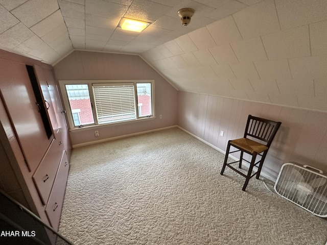 705 Clark St, Hollidaysburg, PA 16648 - bonus room featuring carpet flooring and lofted ceiling