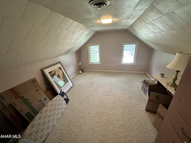 705 Clark St, Hollidaysburg, PA 16648 - additional living space with carpet floors and lofted ceiling