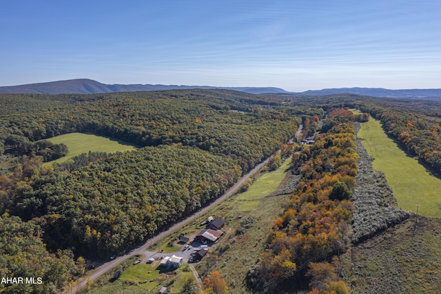 birds eye view of property with a mountain view