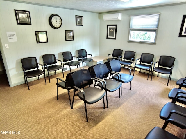 9510 Lincoln Hwy, Bedford, PA 15522 - miscellaneous room featuring an AC wall unit, light carpet, and a baseboard heating unit