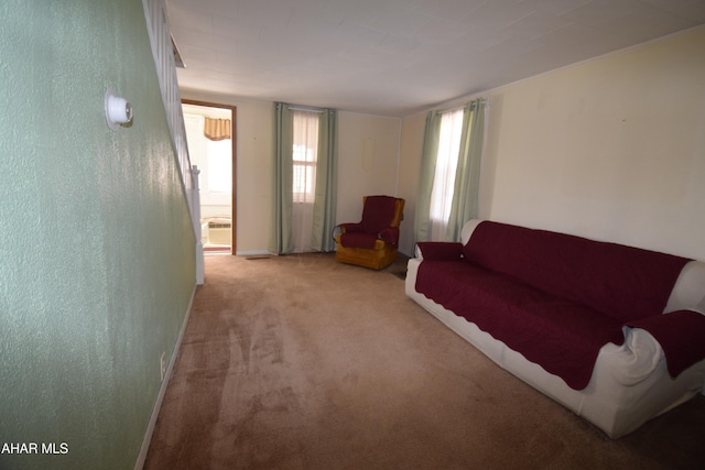 living room with light carpet