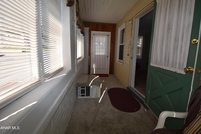 entryway with carpet and wooden walls