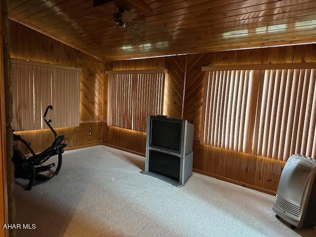 miscellaneous room featuring carpet, wood walls, and wooden ceiling