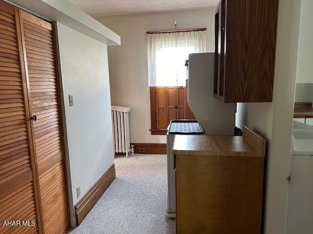 kitchen with light colored carpet and radiator